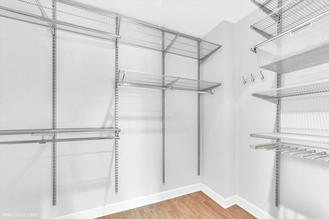 461 N Jonathan Dr Unit 204, Palatine, IL 60074 - walk in closet with light wood-type flooring