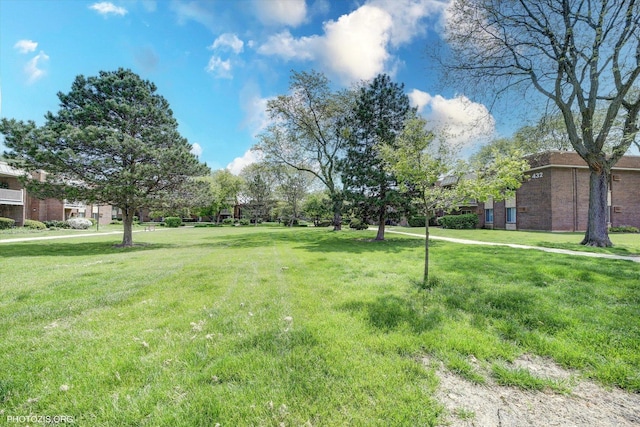 461 N Jonathan Dr Unit 204, Palatine, IL 60074 - view of grassy yard