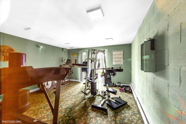 461 N Jonathan Dr Unit 204, Palatine, IL 60074 - workout room featuring baseboards and carpet flooring