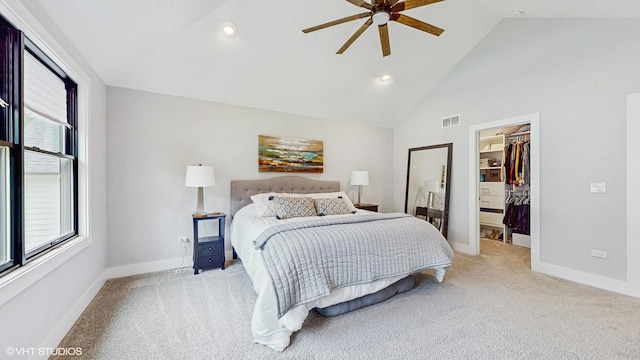 223 W Bauer Rd, Naperville, IL 60563 - photo 19