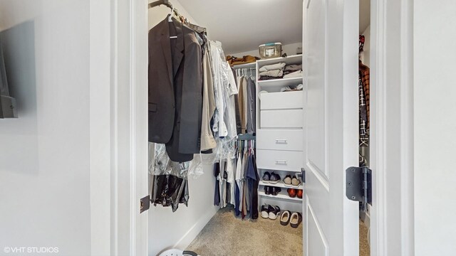 223 W Bauer Rd, Naperville, IL 60563 - photo 20