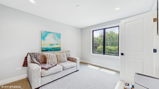 223 W Bauer Rd, Naperville, IL 60563 - photo 32