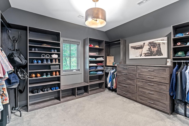 125 S Madison St, Hinsdale, IL 60521 - walk in closet with light carpet and vaulted ceiling