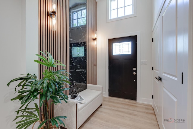 1729 N Mitchell Ave, Arlington Heights, IL 60004 - entrance foyer with light wood-type flooring, plenty of natural light, and a high ceiling