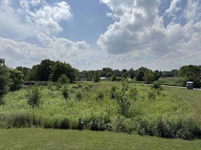 2637 W 93rd Pl, Evergreen Park, IL 60805 - view of nature