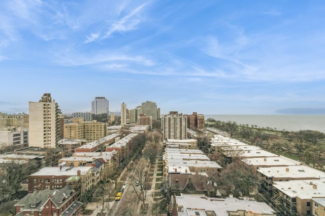 5471 S Hyde Park Blvd Unit 16Ab, Chicago, IL 60615 - city view