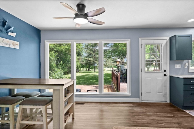 1106 Countryside Ln, Pontiac, IL 61764 - dining area featuring dark wood-style flooring and ceiling fan