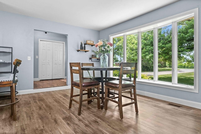 1106 Countryside Ln, Pontiac, IL 61764 - dining room featuring plenty of natural light and wood finished floors