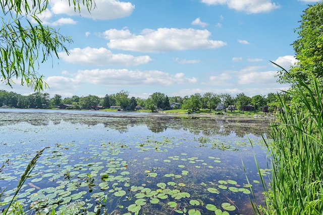 42280 N Center St, Antioch, IL 60002 - water view