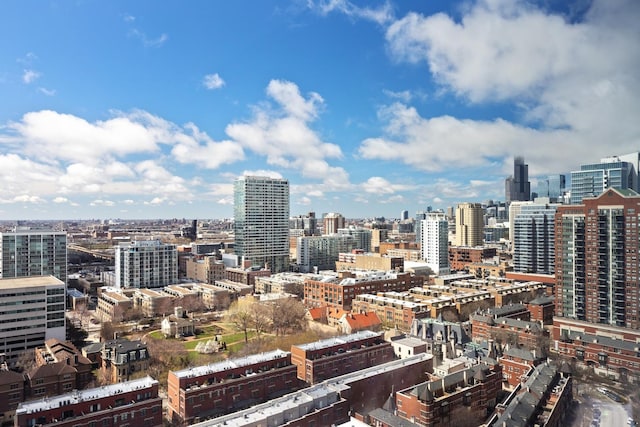 1901 S Calumet Ave Unit 2010, Chicago, IL 60616 - city view