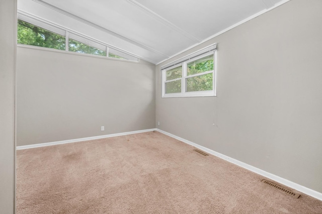 728 Kimberly Dr, Dekalb, IL 60115 - photo 10
