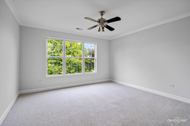 1938 Barrington Ave, Bolingbrook, IL 60490 - photo 14