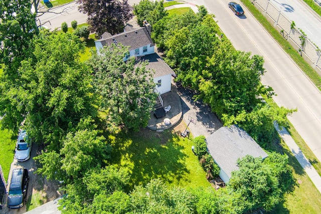 29 Oak Ridge Ave, Hillside, IL 60162 - view of subject property
