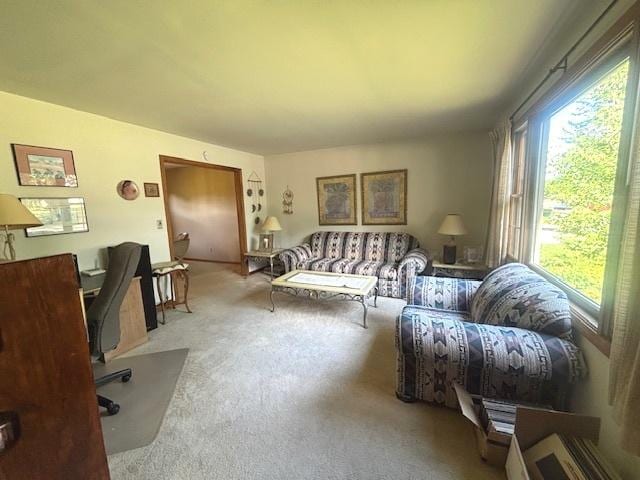 2228 Hess Dr, Crest Hill, IL 60403 - photo 3