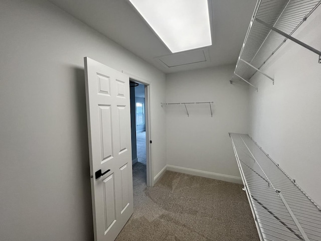 1266 Airs Ave, Sugar Grove, IL 60554 - walk in closet with carpet