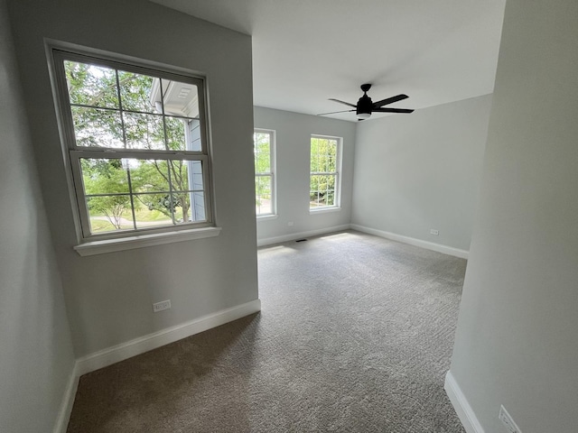 1266 Airs Ave, Sugar Grove, IL 60554 - spare room featuring carpet and a ceiling fan