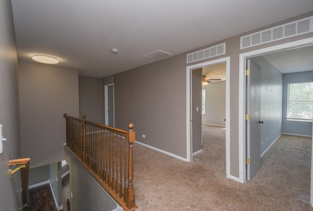 13222 Bucksburn Ln, Beach Park, IL 60083 - photo 17
