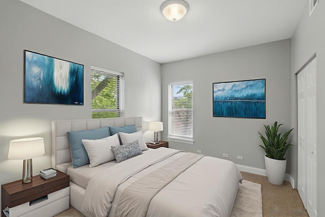 6200 S Evans Ave Unit 3, Chicago, IL 60637 - bedroom with light colored carpet and a closet