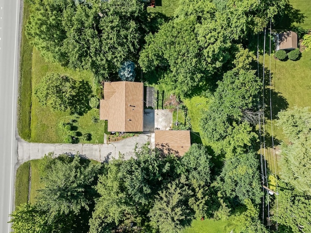 5736 Willow Springs Rd, La Grange Highlands, IL 60525 - view of subject property