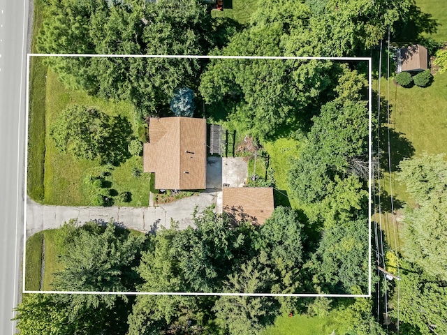 5736 Willow Springs Rd, La Grange Highlands, IL 60525 - view from above of property with property boundaries highlighted
