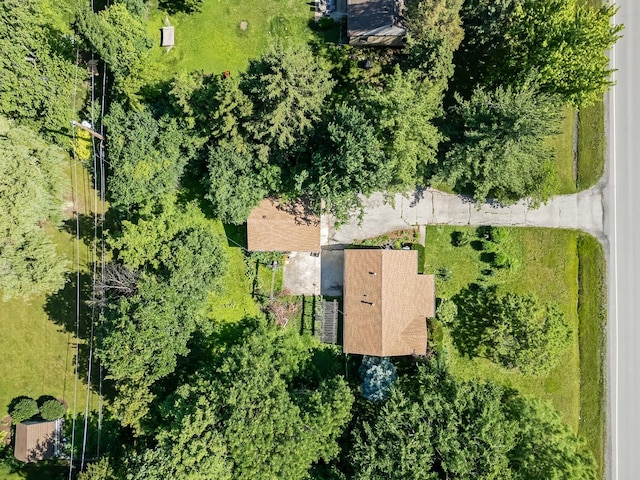 5736 Willow Springs Rd, La Grange Highlands, IL 60525 - bird's eye view