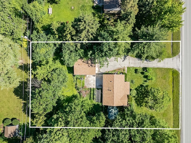 5736 Willow Springs Rd, La Grange Highlands, IL 60525 - view of property location with property boundaries highlighted