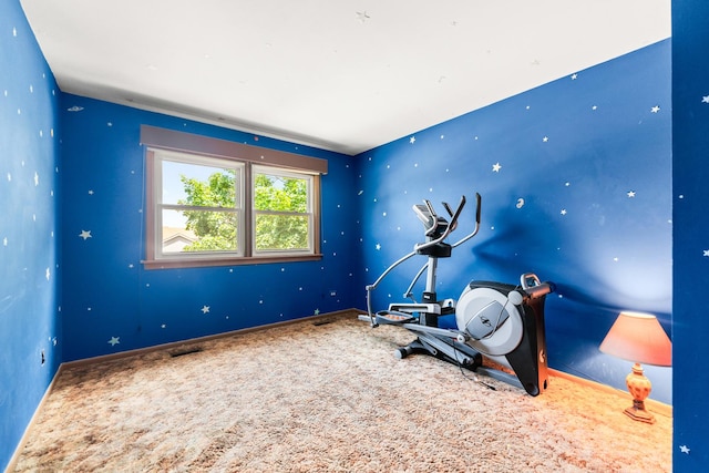 1707 Roosa Ln, Elk Grove Village, IL 60007 - workout area with carpet