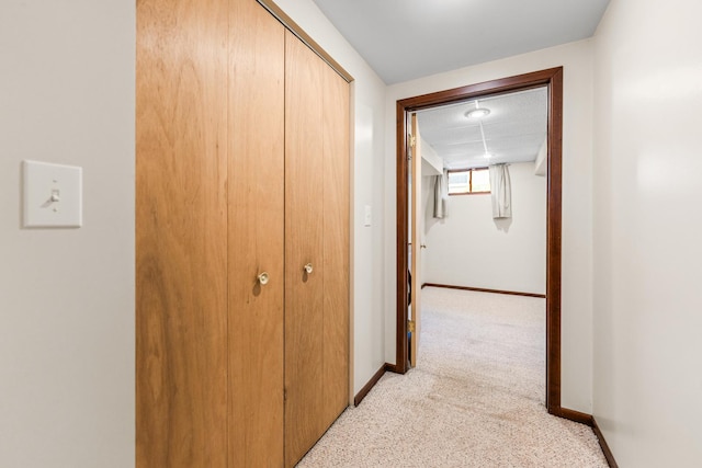 1707 Roosa Ln, Elk Grove Village, IL 60007 - hallway with light carpet and baseboards