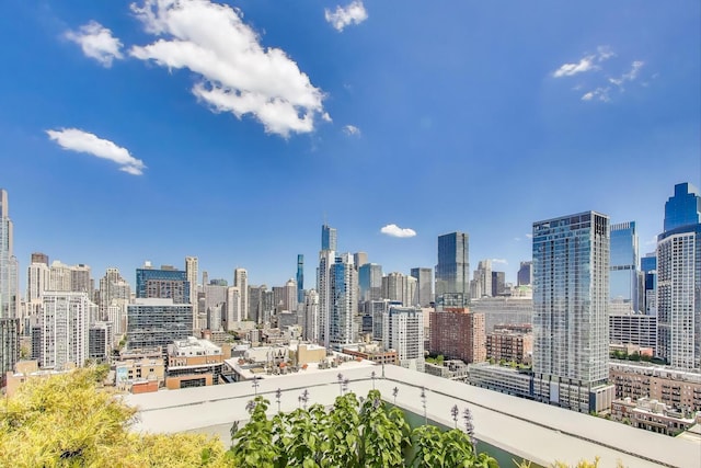 435 W Erie St Unit 1708, Chicago, IL 60654 - photo 4