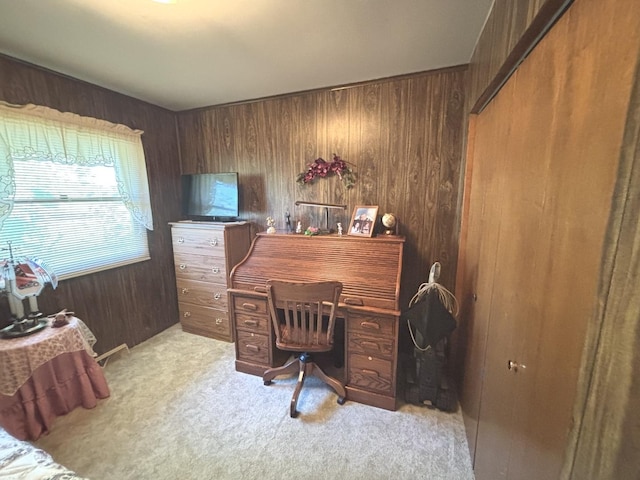 312 Water St, Earlville, IL 60518 - office featuring light carpet and wooden walls