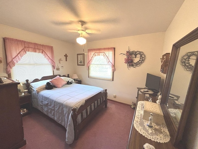 312 Water St, Earlville, IL 60518 - bedroom featuring dark carpet and a ceiling fan