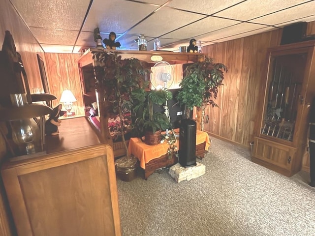 312 Water St, Earlville, IL 60518 - sitting room featuring wood walls, a paneled ceiling, and carpet floors