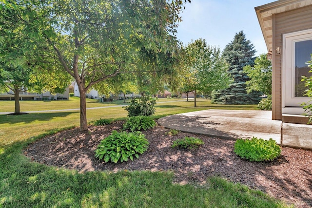 502 Birchwood Dr, Yorkville, IL 60560 - photo 38