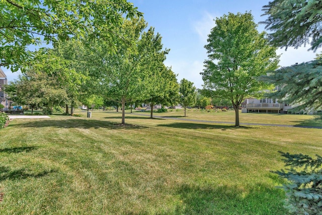 502 Birchwood Dr, Yorkville, IL 60560 - photo 41