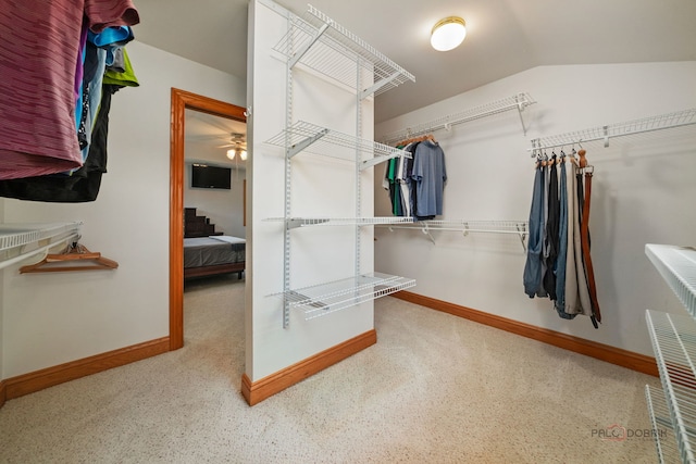 31016 Prairie Ridge Ct, Libertyville, IL 60048 - photo 27