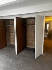 829 E 48th St Unit D, Chicago, IL 60615 - view of closet