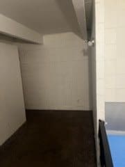 829 E 48th St Unit D, Chicago, IL 60615 - view of spacious closet