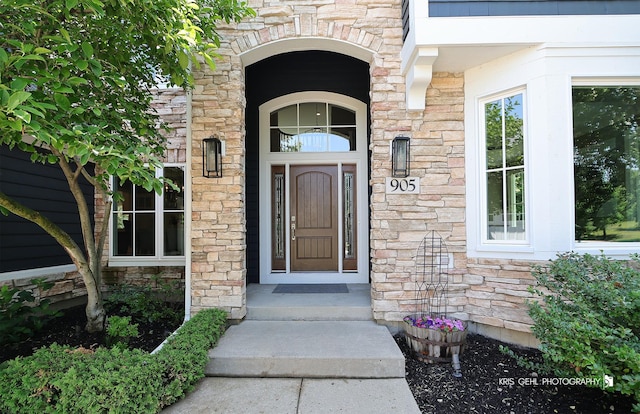 905 Burnham Ct, Aurora, IL 60502 - view of exterior entry with stone siding