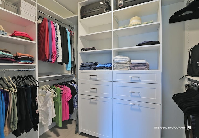 905 Burnham Ct, Aurora, IL 60502 - view of spacious closet