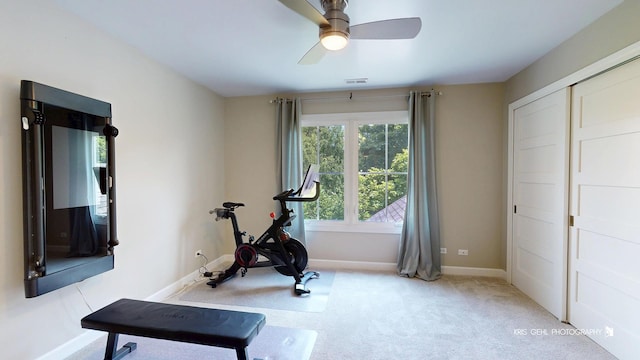 905 Burnham Ct, Aurora, IL 60502 - workout room with carpet flooring and ceiling fan