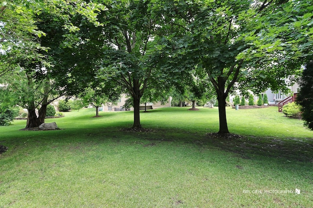905 Burnham Ct, Aurora, IL 60502 - view of grassy yard