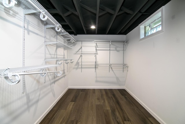 214 S Hickory St, Manteno, IL 60950 - walk in closet with dark wood finished floors