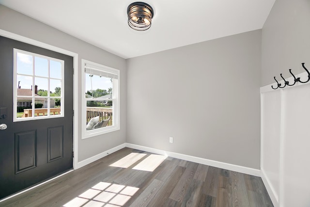 214 S Hickory St, Manteno, IL 60950 - entryway with dark wood-style flooring
