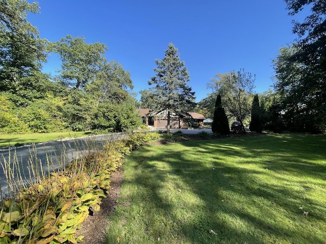 13745 S King Rd, Homer Glen, IL 60491 - view of yard