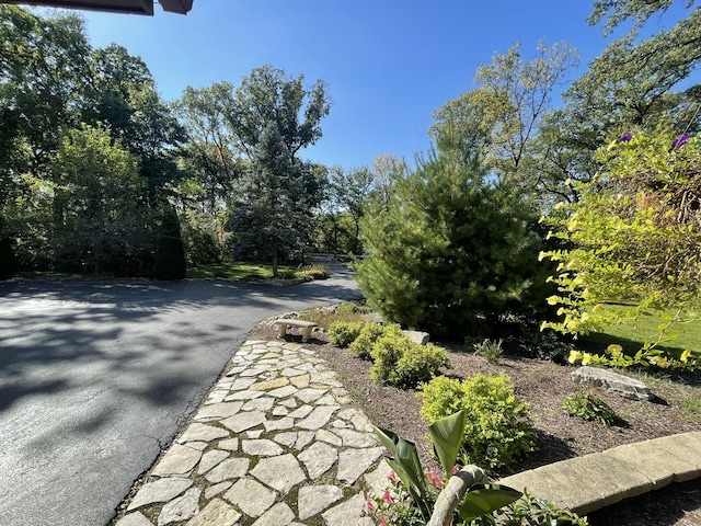 13745 S King Rd, Homer Glen, IL 60491 - view of street