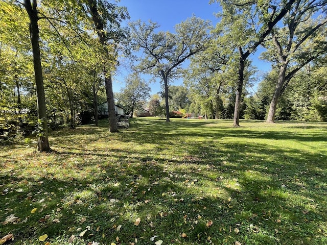 13745 S King Rd, Homer Glen, IL 60491 - view of grassy yard