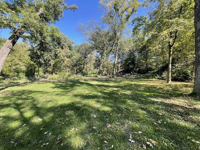 13745 S King Rd, Homer Glen, IL 60491 - view of yard