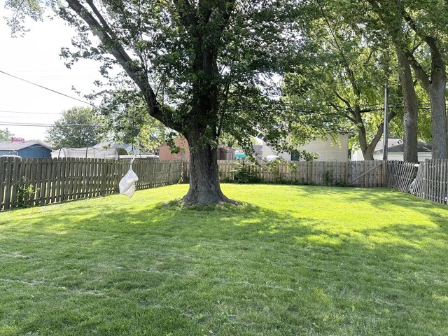 265 S Forest Ave, Bradley, IL 60915 - photo 23