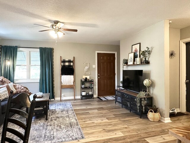 265 S Forest Ave, Bradley, IL 60915 - photo 7