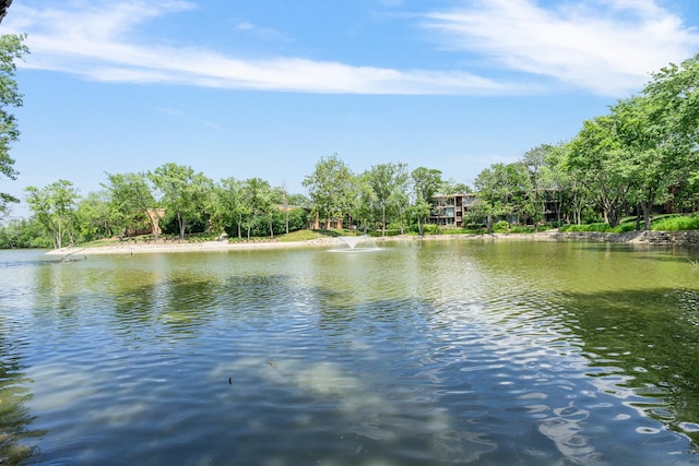 6021 Forest View Rd Unit 2C, Lisle, IL 60532 - water view